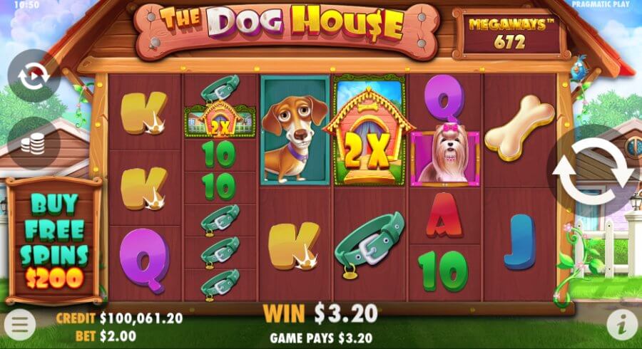 The Dog House Megaways Winning Combination