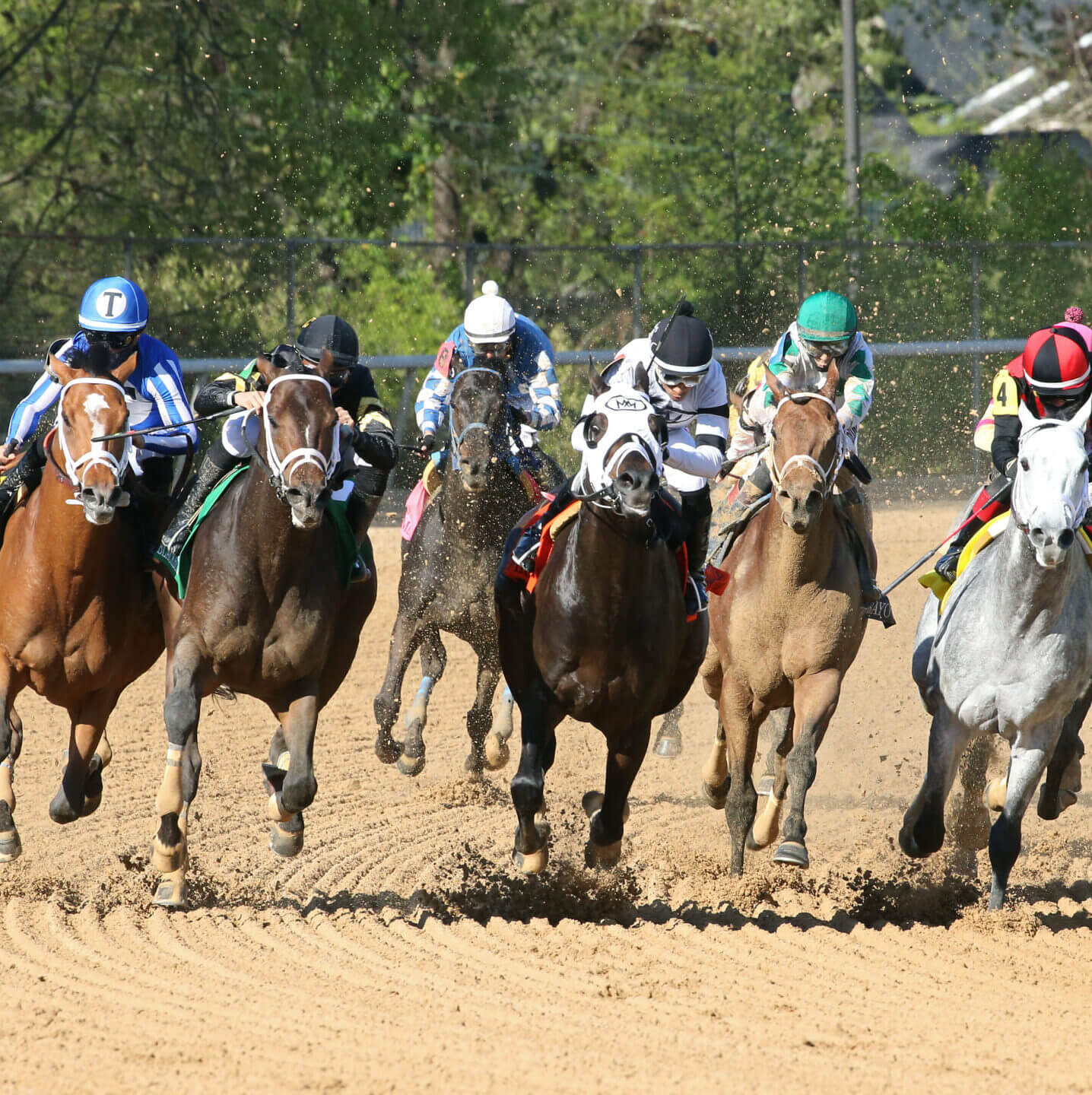 Oaklawn Racing Casino Resort