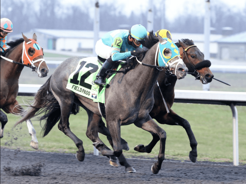 Turfway Park